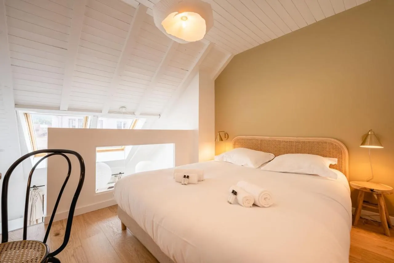 Le Duplex Vaugelas Atypique En Plein Centre Ville Annecy