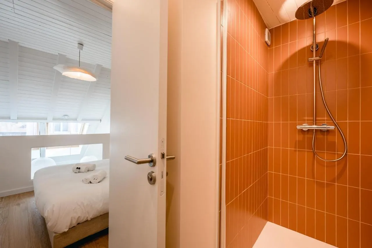 Le Duplex Vaugelas Atypique En Plein Centre Ville Annecy 0*,  France