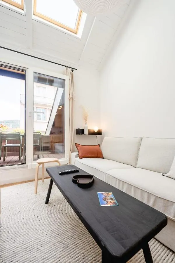 Le Duplex Vaugelas Atypique En Plein Centre Ville Annecy